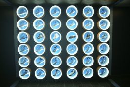 UNC Displayed a Wall of Air Jordans in their Locker Room
