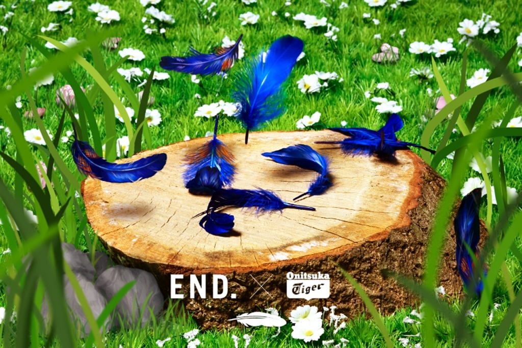 end-onistuka-teaser-bluebird