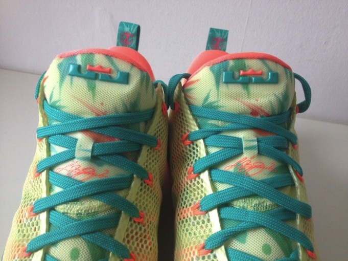 lebronold palmer 12