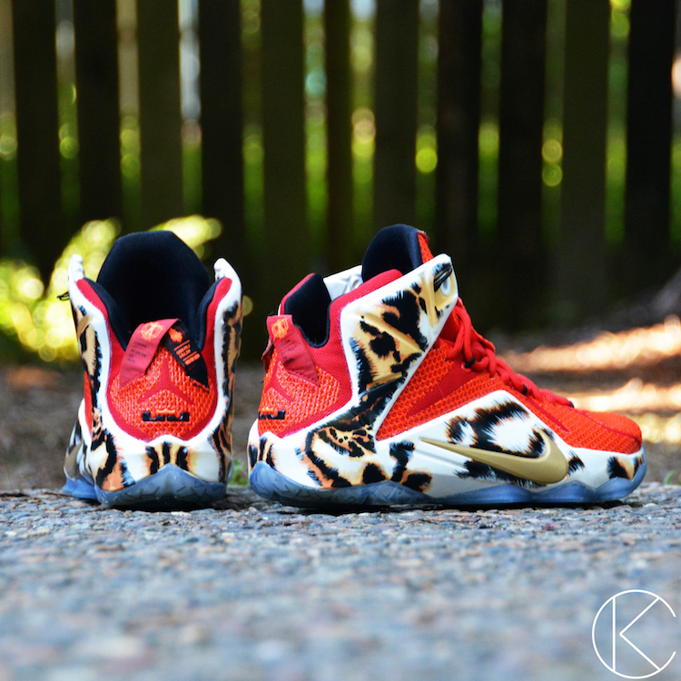 Nike LeBron 12 XII 2K14 Custom