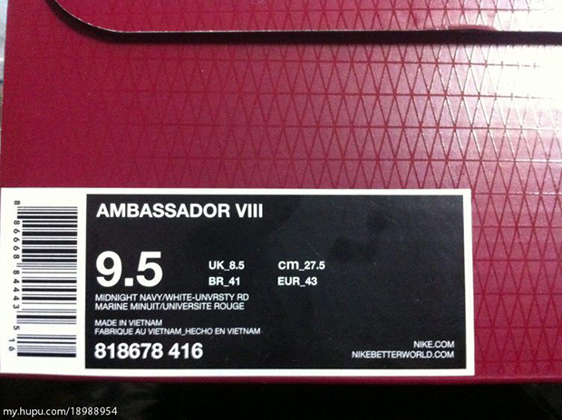 Nike LeBron Ambassador VIII 8 USA