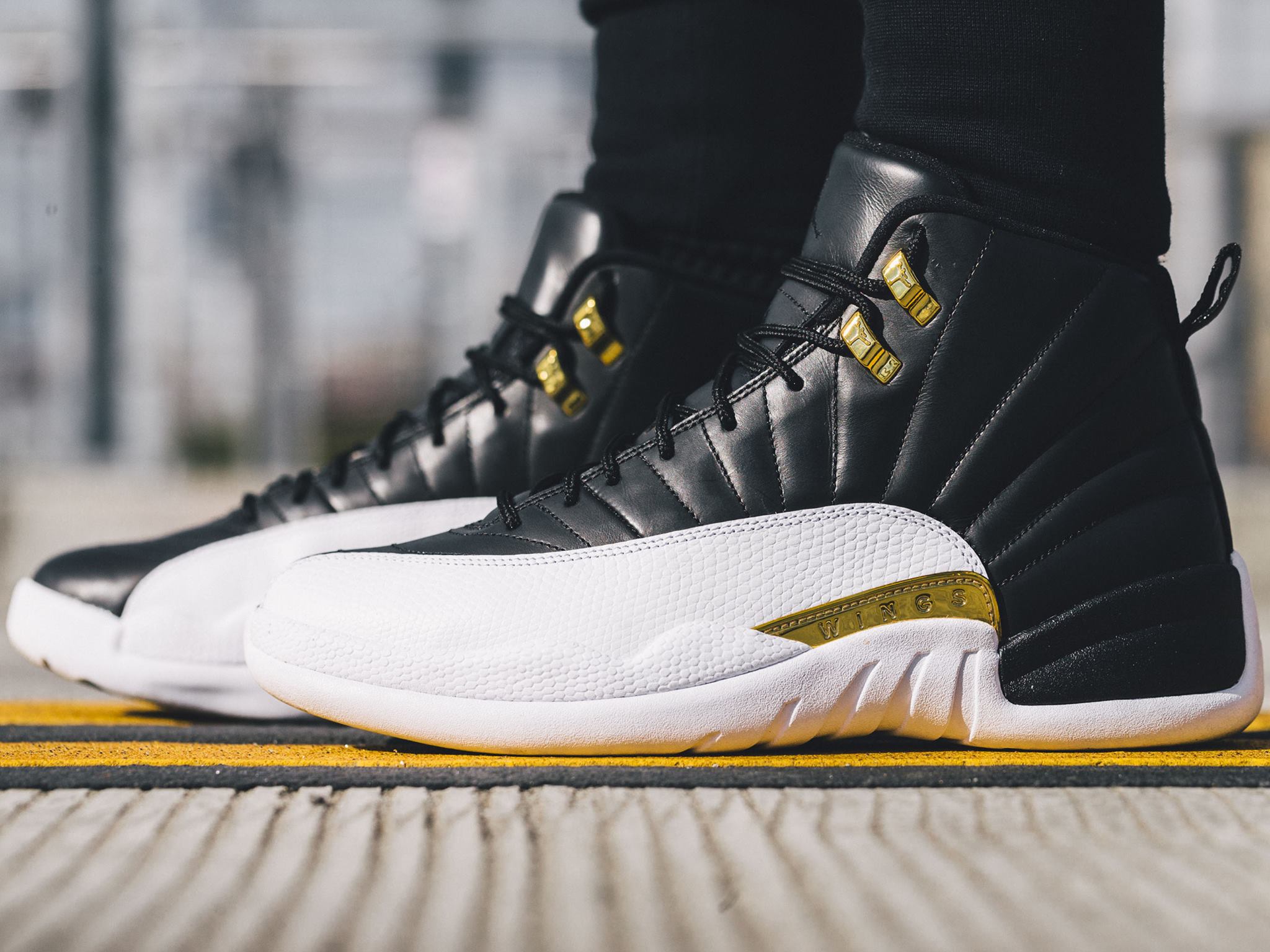 air jordan 12 retro wings