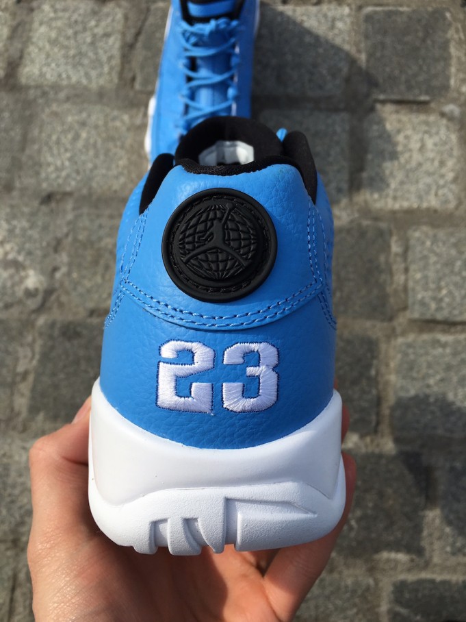 jordan 9 pantone