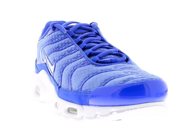 Nike Air Max Plus Mesh Blue