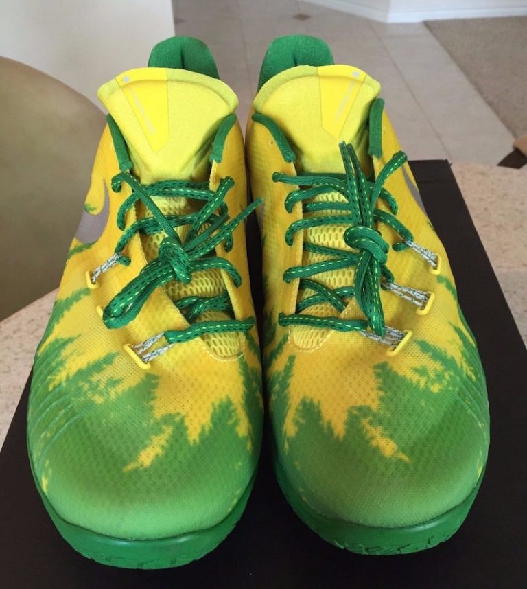 nike hyper chase