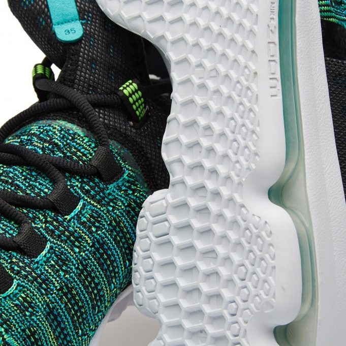 kd birds of paradise