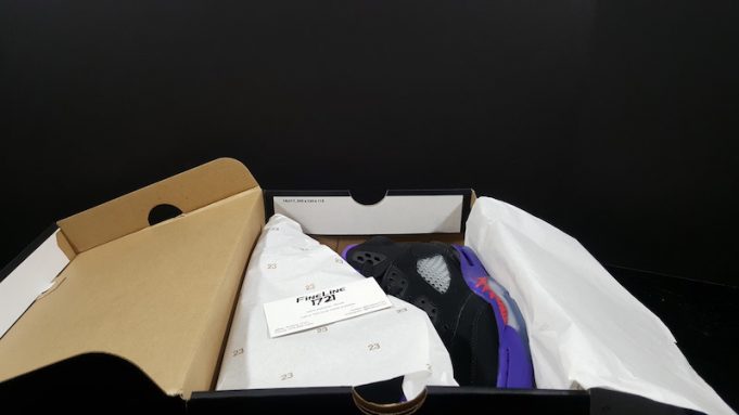 air jordan 5 raptors