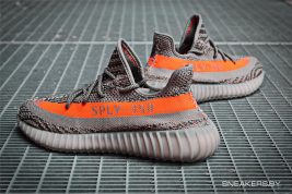 beluga