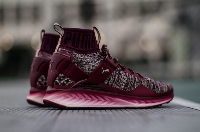 puma ignite evoknit price philippines
