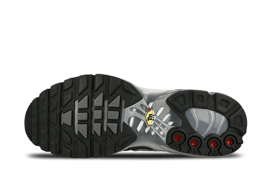 Nike Air Max Plus Black Grey 852630-010