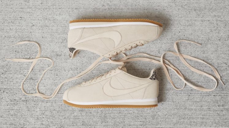 alc cortez