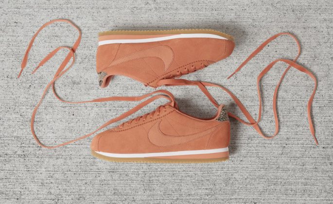 alc cortez