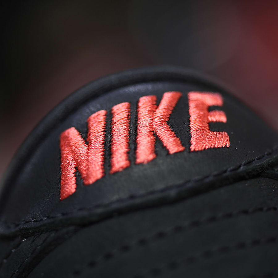 Nike SB Dunk Low Black Pigeon Release Date 883232-008 Heel
