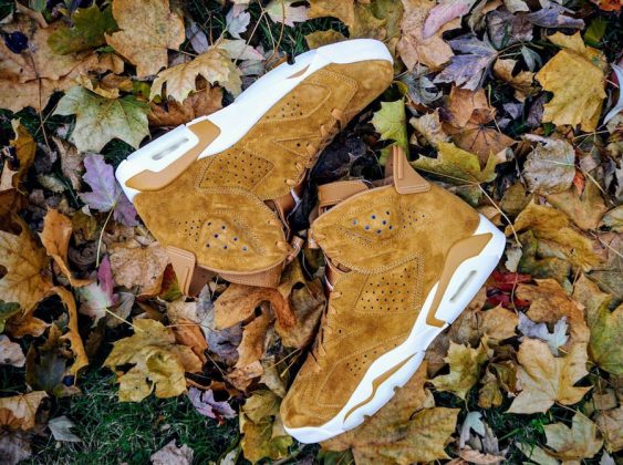 aj6 wheat