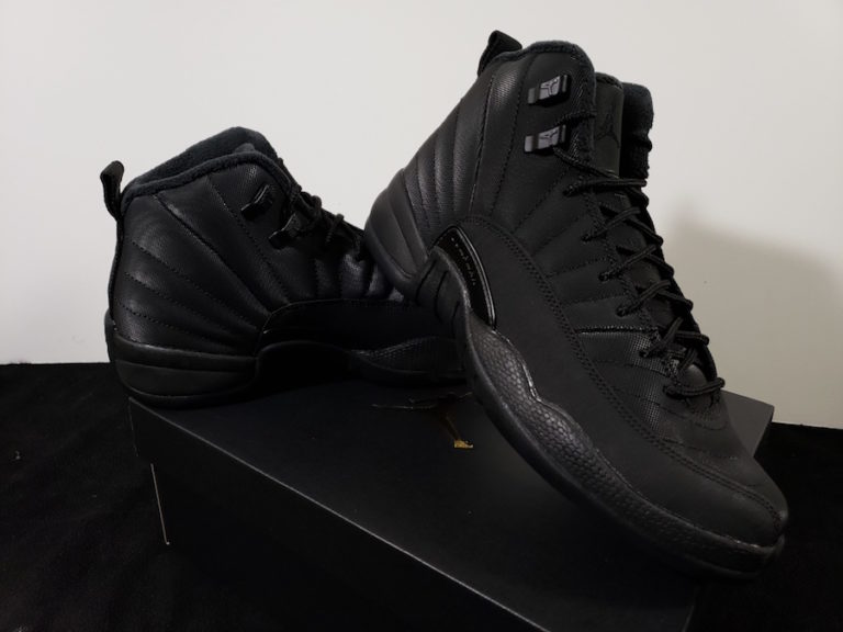 jordan 12 winterized champs