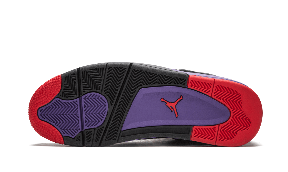 Air Jordan 4 Raptors