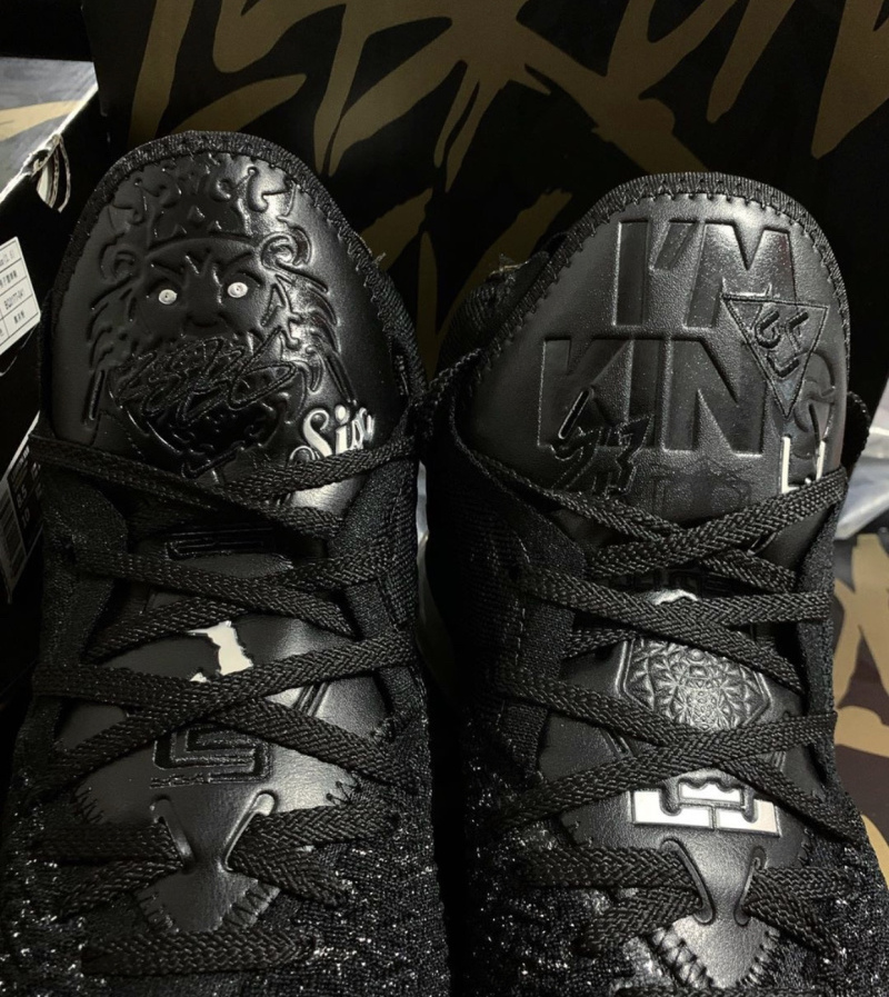 lebron shoes with lion on tongue