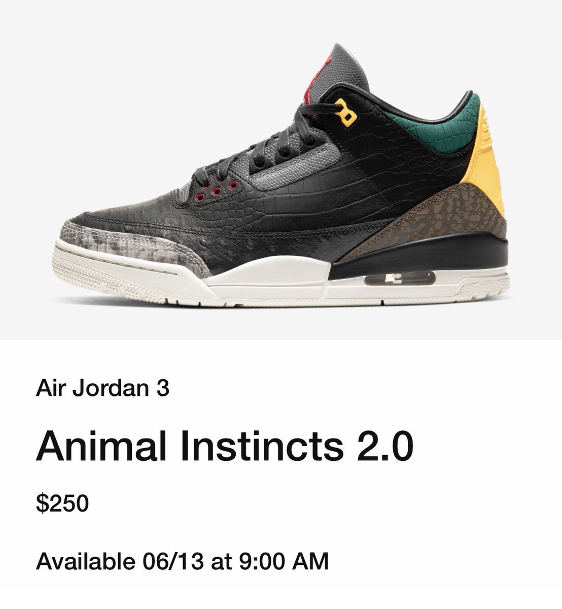 Air Jordan 3 SE Animal Instinct 2 Release Date