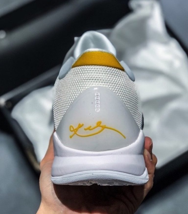 bruce lee protro 5