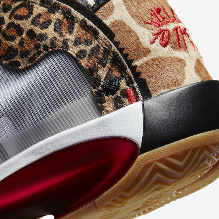 welcome to the zoo jordan 34