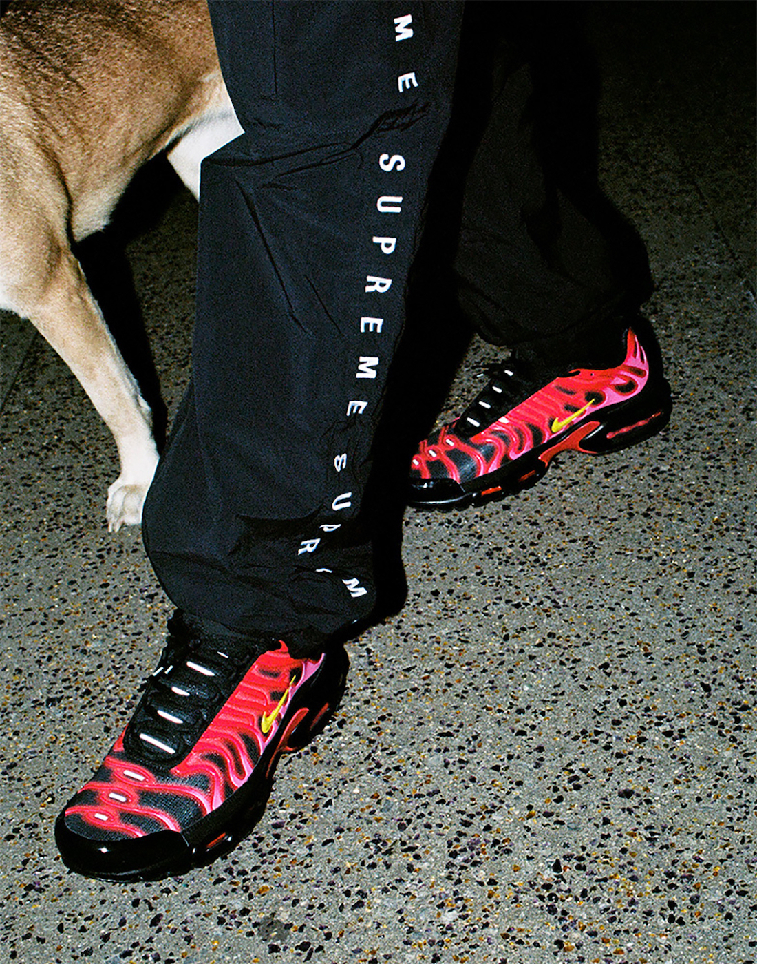 Supreme Nike Air Max Plus Release Date - Sneaker Bar Detroit