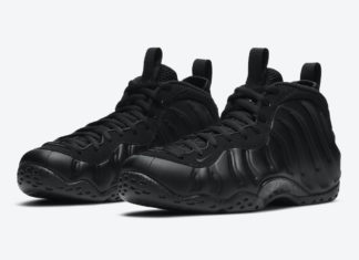 Nike Air Foamposite One Anthracite 314996-001 2020 Release Date