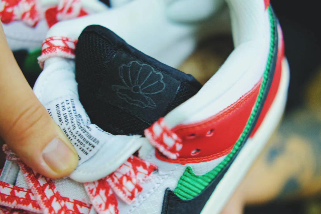 dunk sb frame skate
