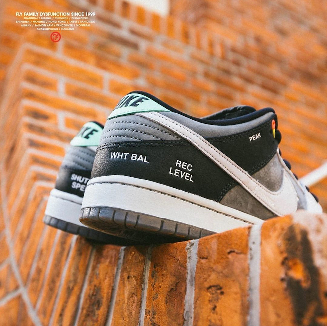 Nike SB Dunk Low Camcorder Release Date