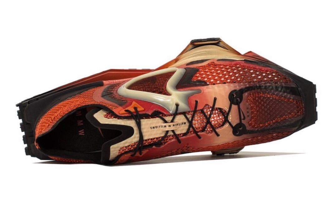 matthew williams zoom 4