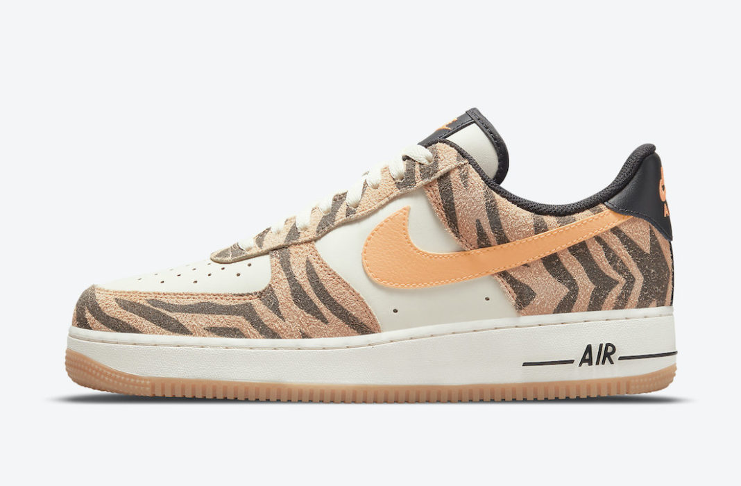 daktari af1