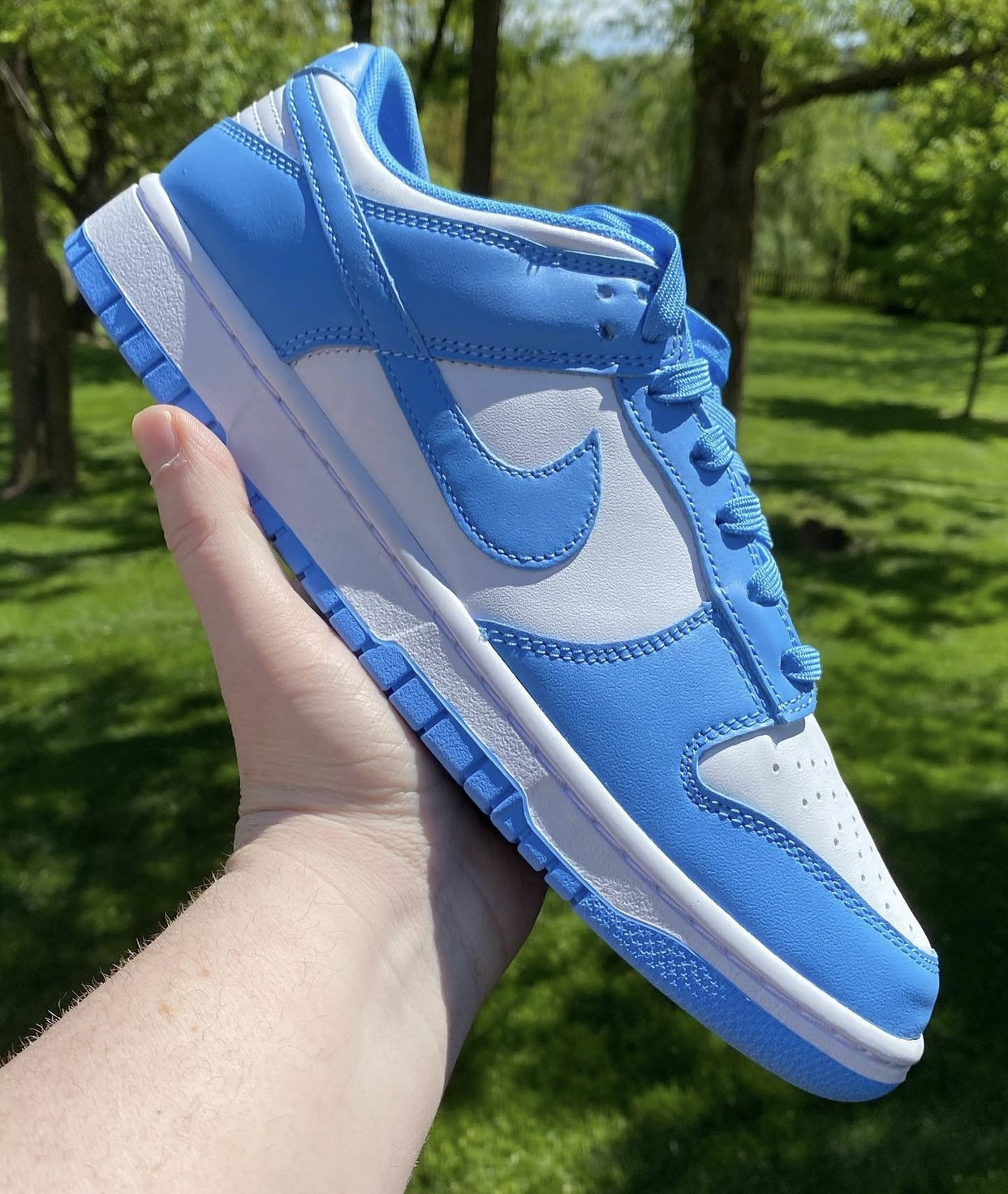 Blue dunks