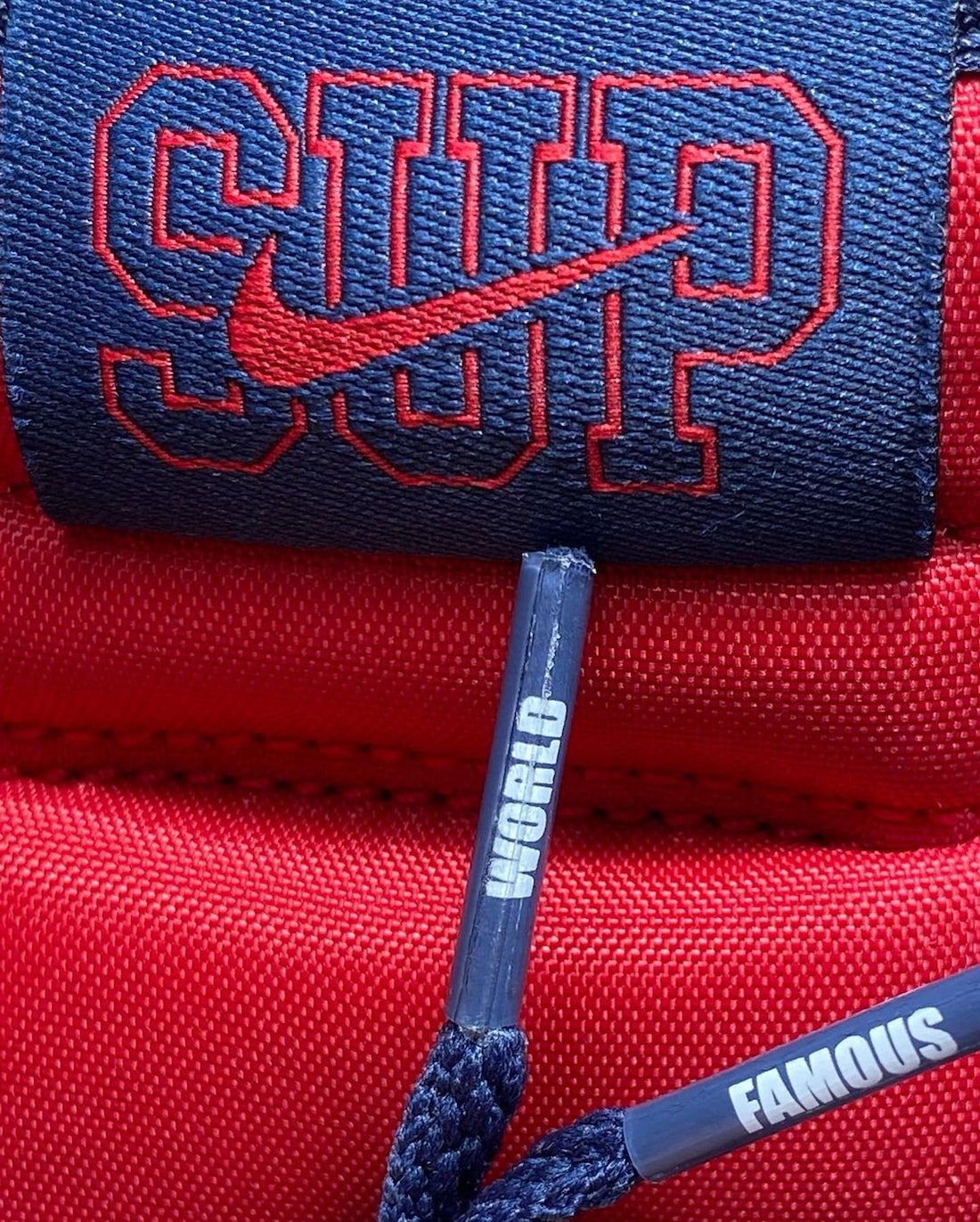 Supreme Nike SB Dunk High By Any Means Navy Red Release Date 6