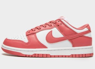 Nike Dunk Low Archeo Pink DD1503-111 Release Date