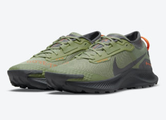 Nike Pegasus Trail 3 Gore-Tex DO6728-300 Release Date
