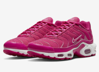 Nike Air Max Plus DR9886-600 Release Date