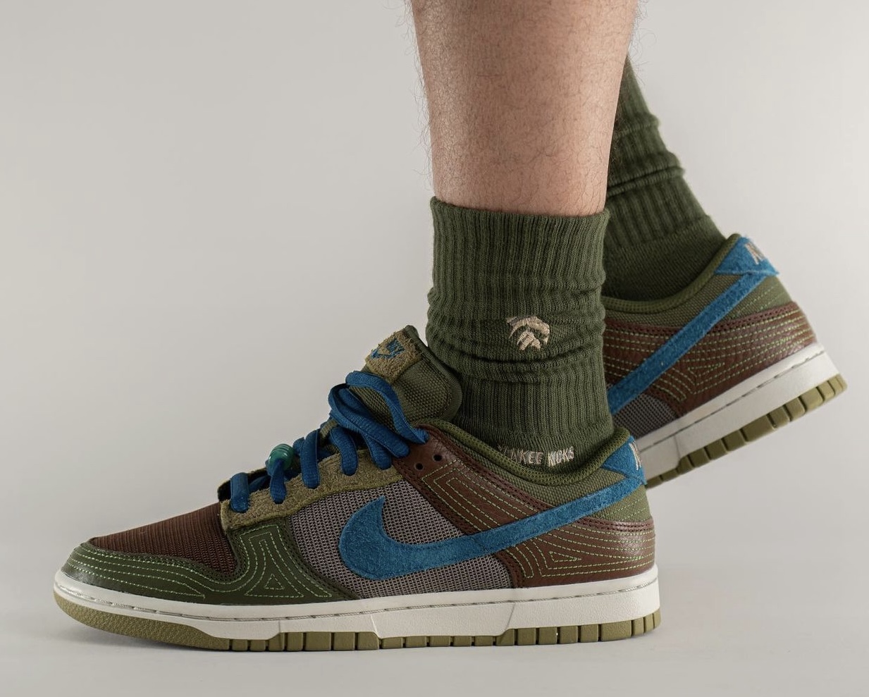 Nike Dunk Low NH Cacao Wow DR0159-200 Release Date On-Feet