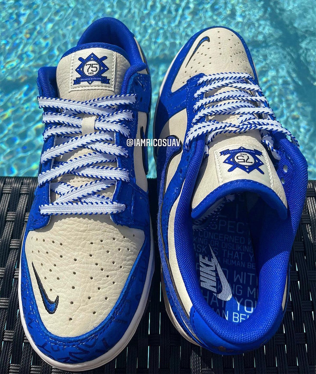 Nike Dunk Low Jackie Robinson DV2122-400 Release Date Pricing