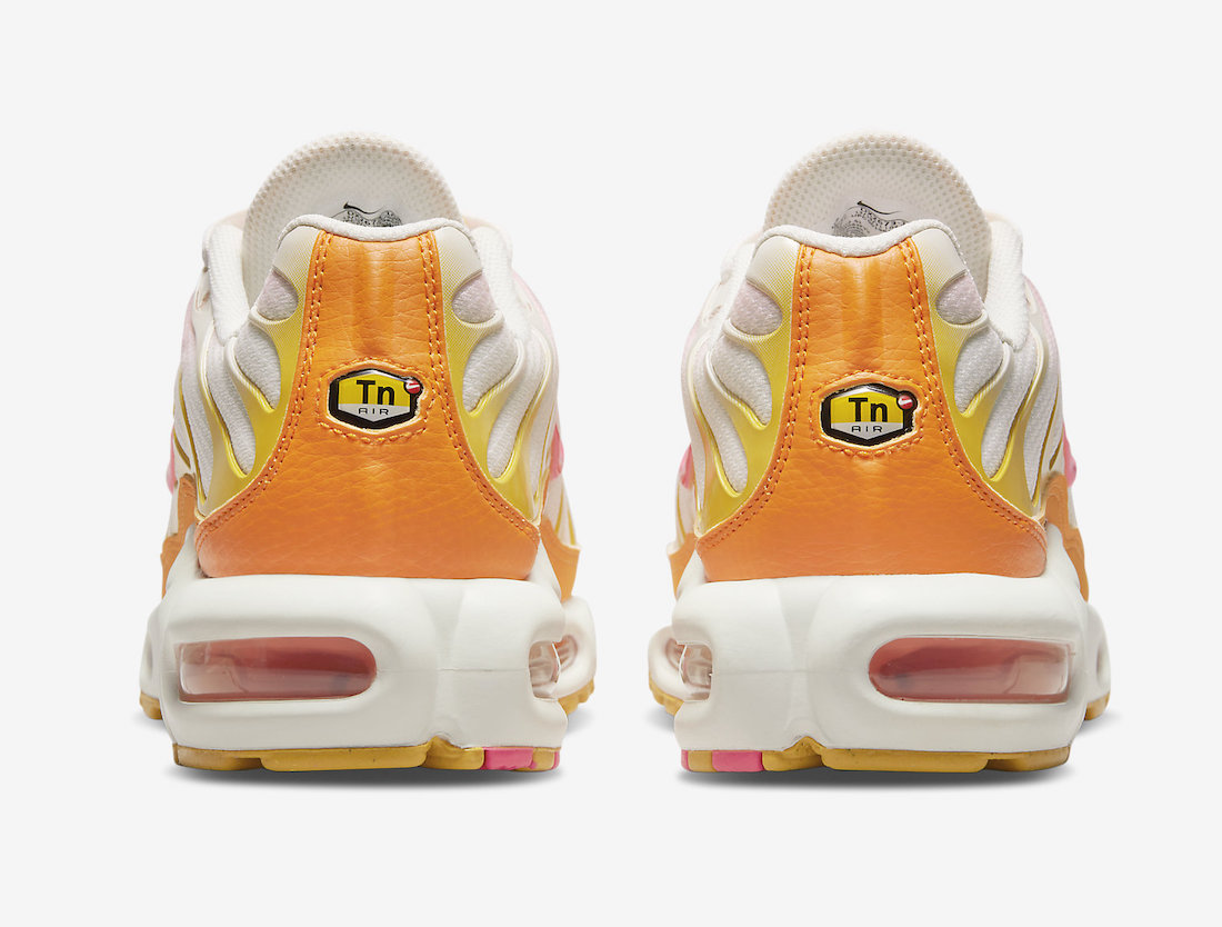 Nike Air Max Plus DX2673-100 Release Date