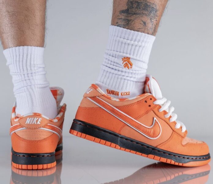 New Shots of the Concepts x Nike SB Dunk Low âOrange Lobsterâ | Sneakers Cartel