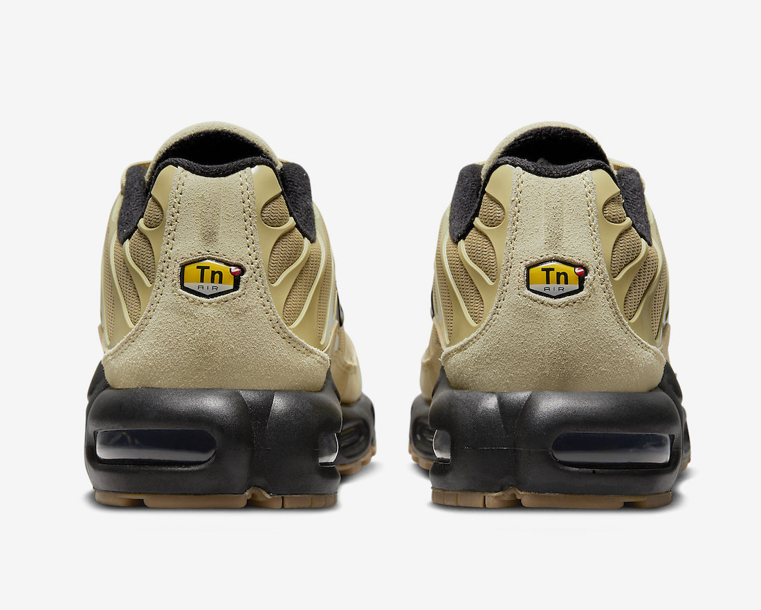Nike shoes Air Max Plus DZ4501 700 Release Date 5