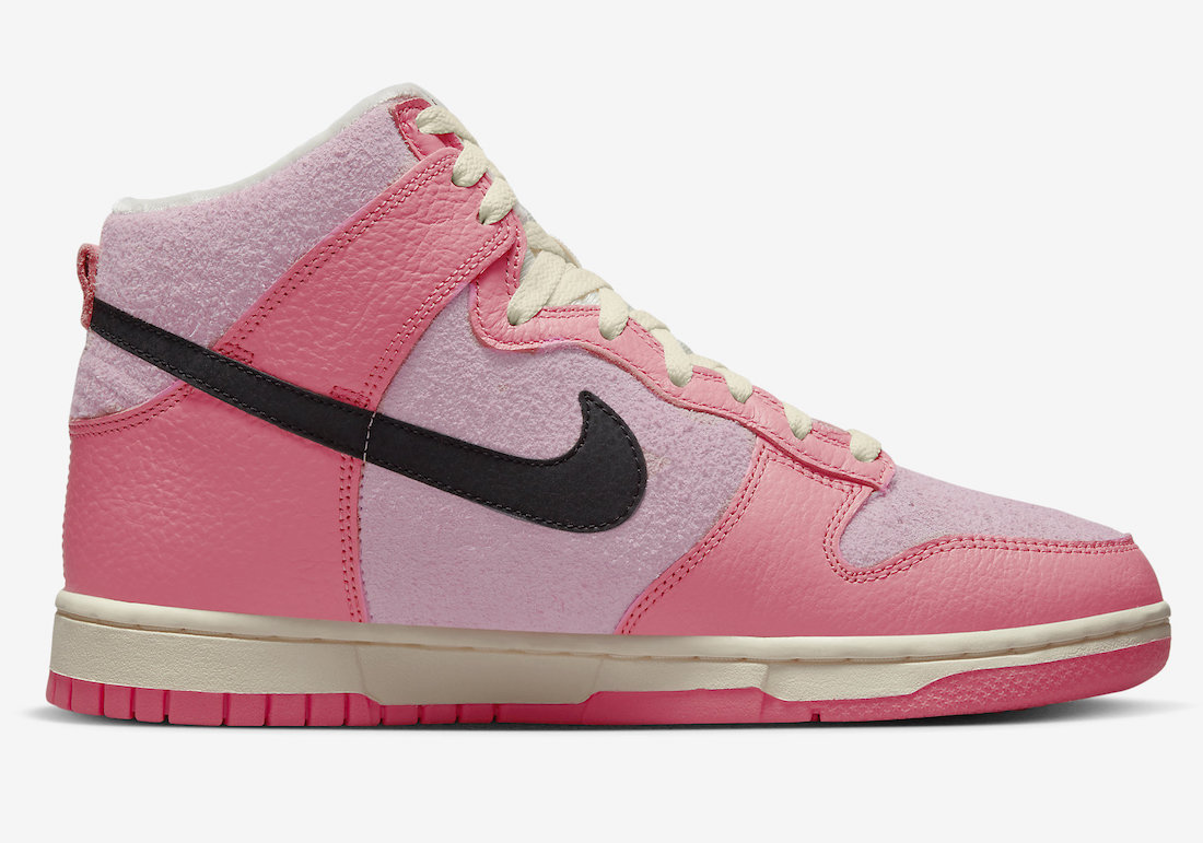 Nike Dunk High Hoops DX3359-600 Release Date