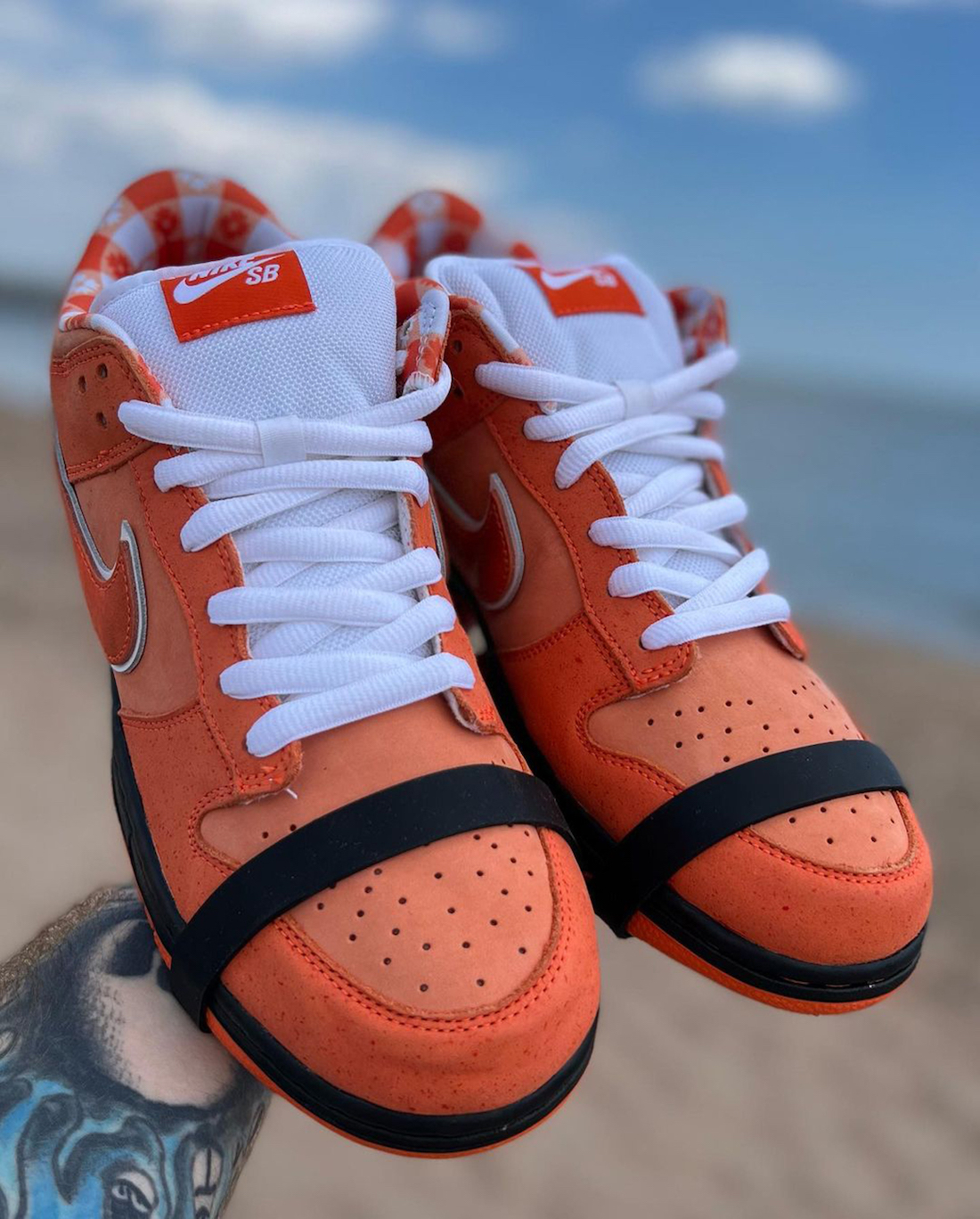 Concepts Nike SB Dunk Low Orange Lobster FD8776 800 In Hand 1