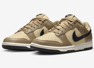 Nike Dunk Low Dark Driftwood DD1503-200 Release Date