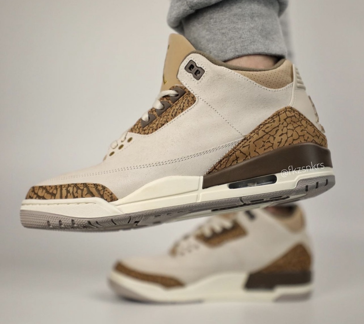 Air Jordan 3 Palomino CT8532-102