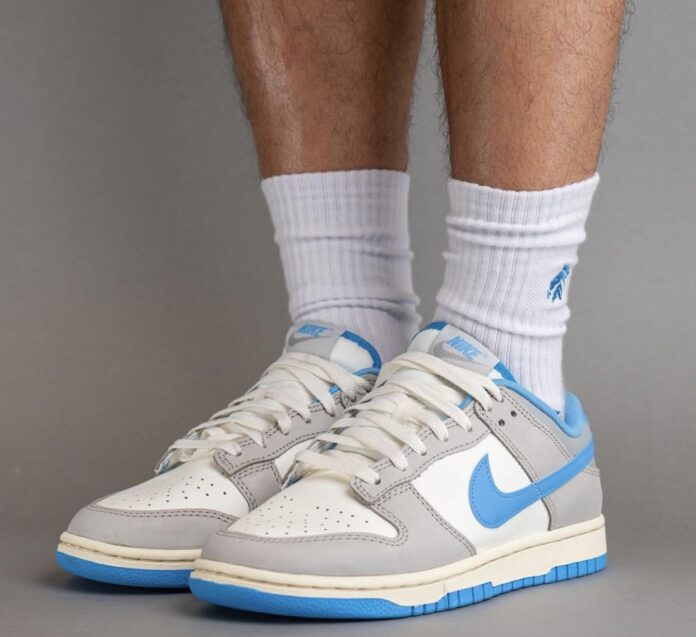 Nike Dunk Low Athletic Department Fn7488-133 