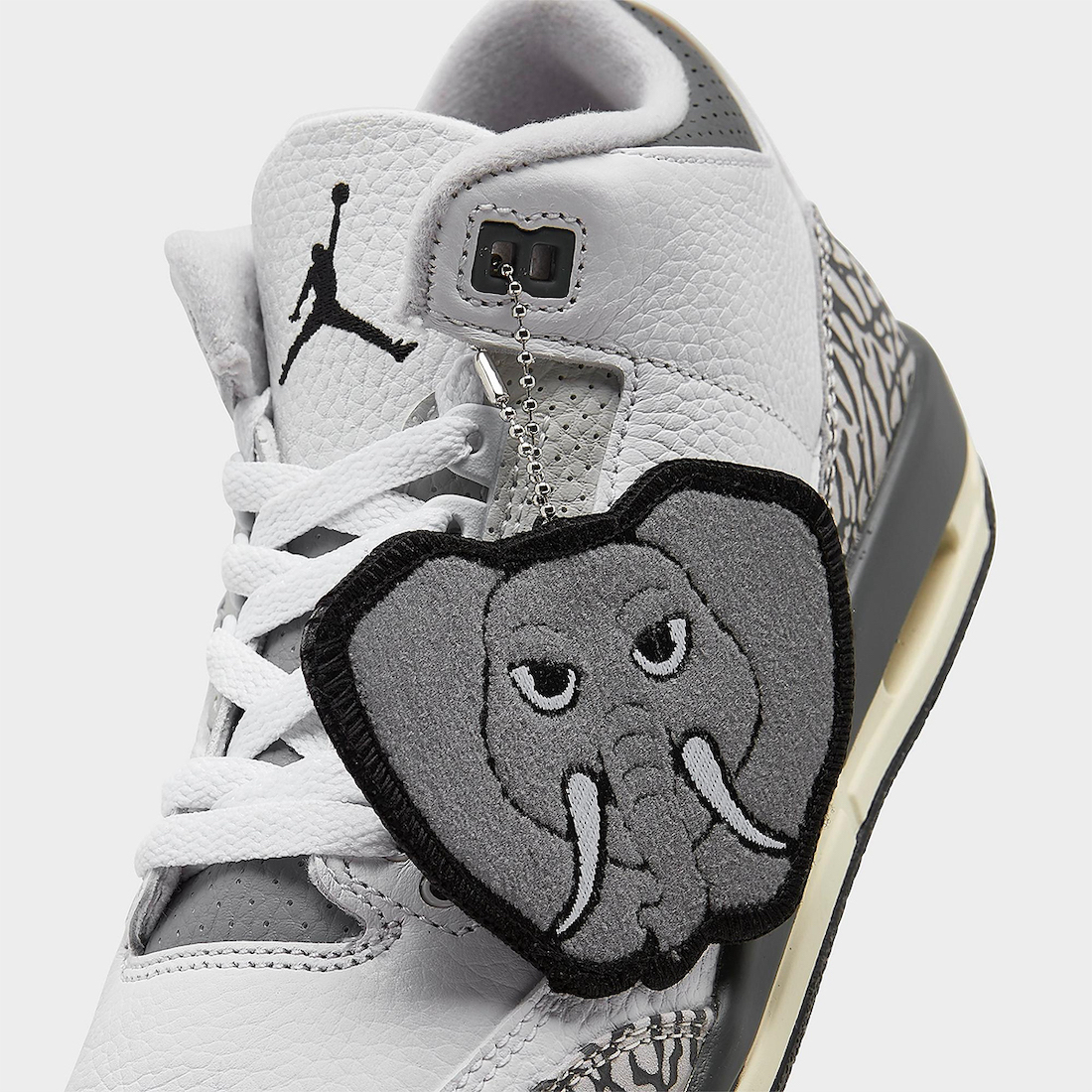 Air Jordan 3 GS Hide and Sneak DX6665-100