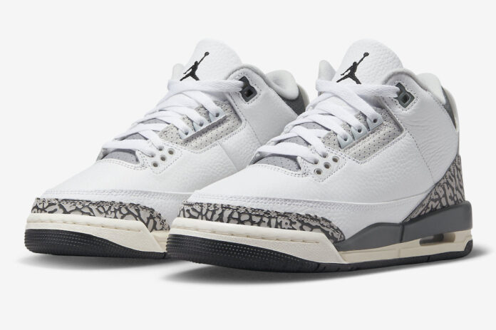 Air Jordan 3 GS Hide N' Sneak DX6665-100 | SBD