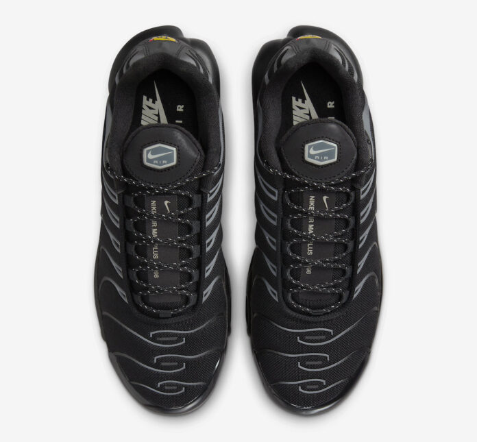 Nike Air Max Plus Black Gum FV0385-001 | SBD