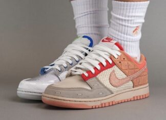 Clot What The Nike Dunk Low On Feet 324x235