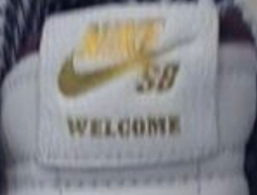 Welcome Skateshop Madrid x Nike SB Dunk Low Releasing in 2024